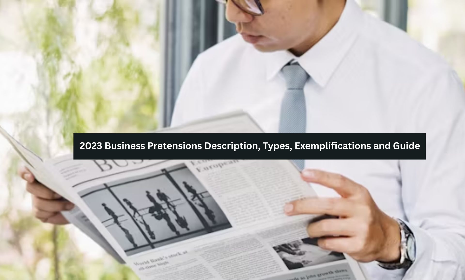 Business Pretensions Description